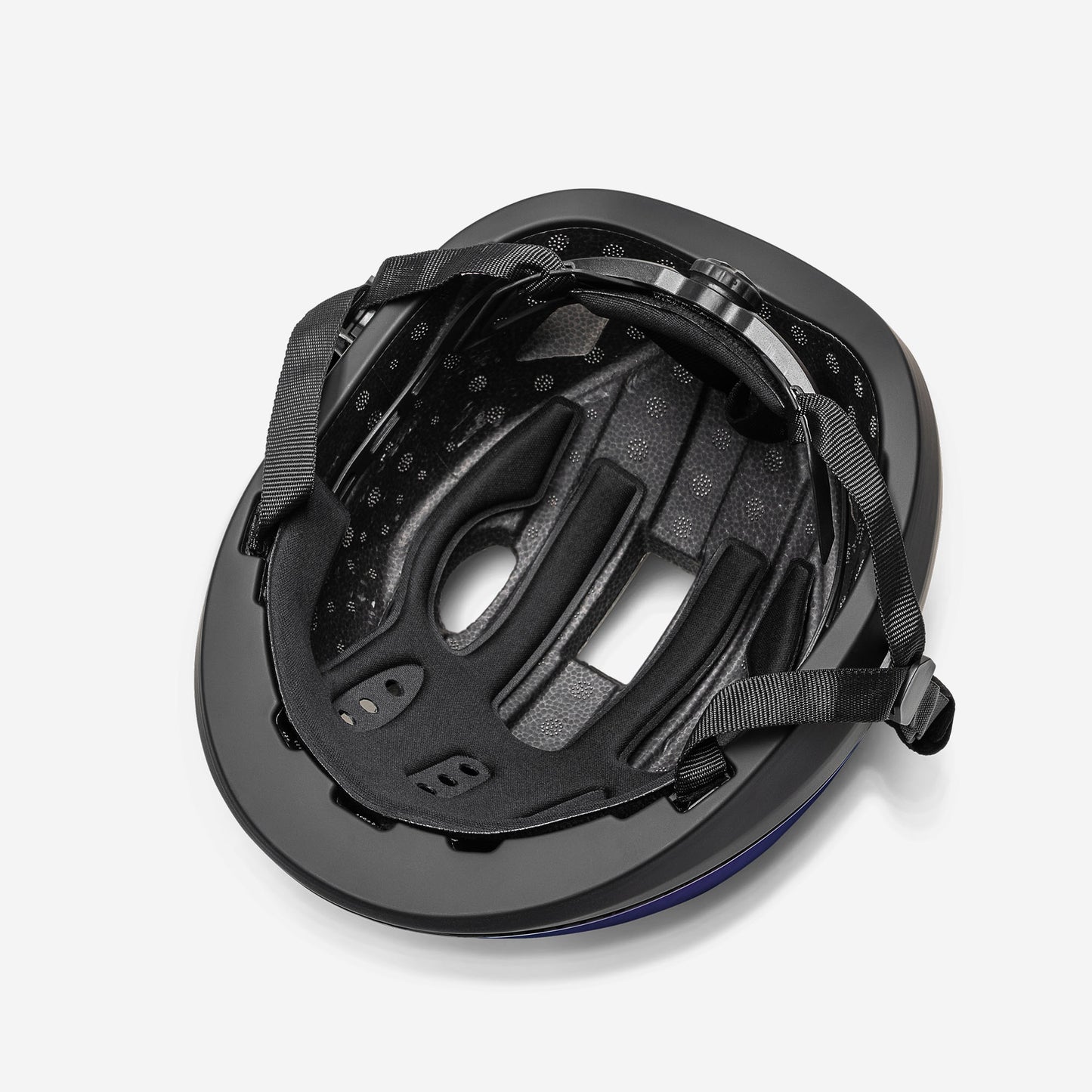 Movino Eclipse (chamäleon)