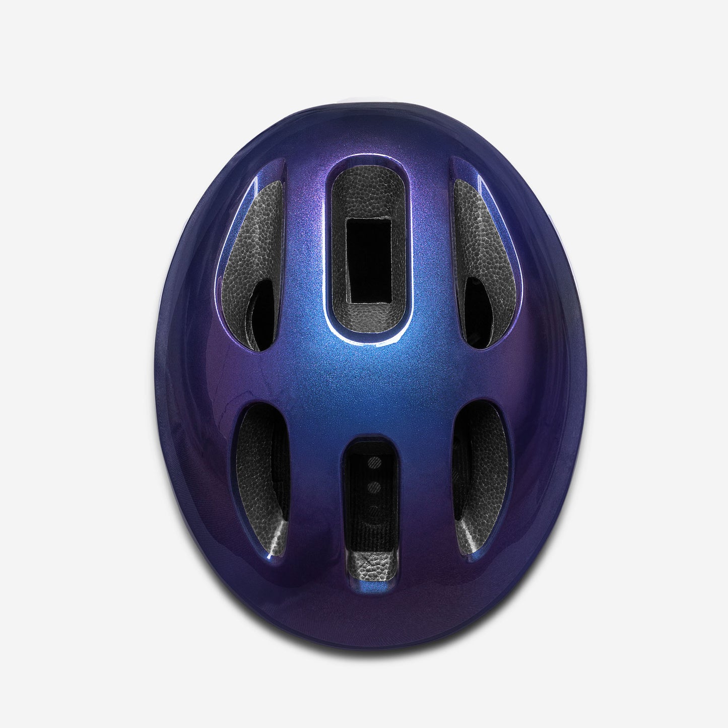 Movino Eclipse (chamäleon)